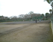 猪名川公園野球場の写真