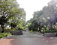 祇園橋緑地の写真