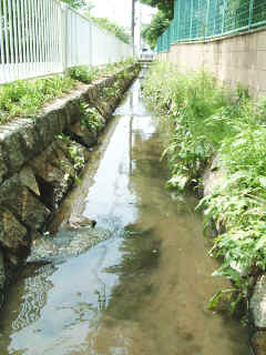 武庫地区の農業用水路
