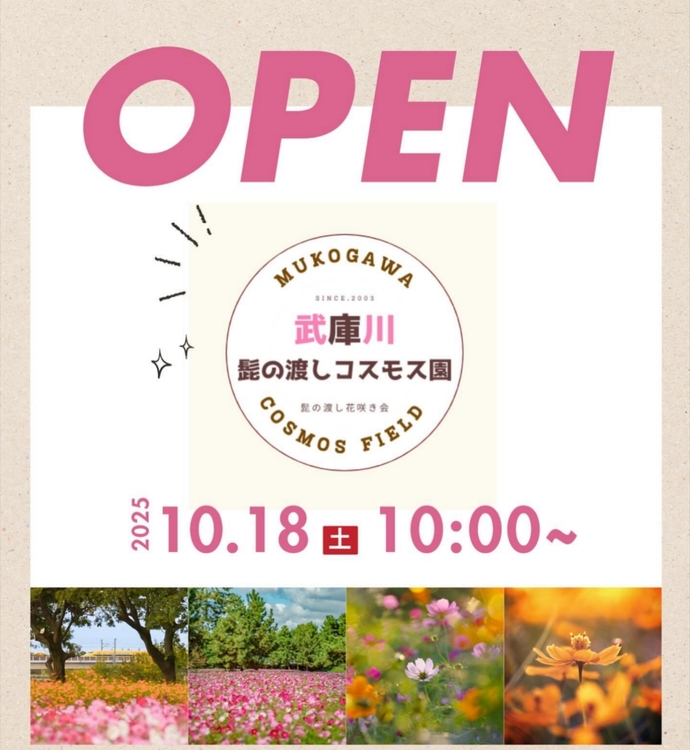 武庫川髭の渡しコスモス園