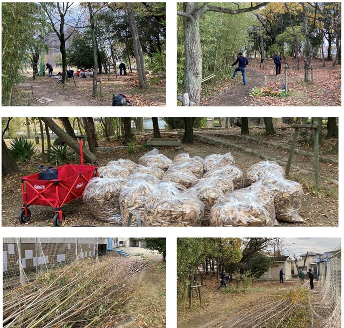 武庫北小学校の竹林整備作業のようす