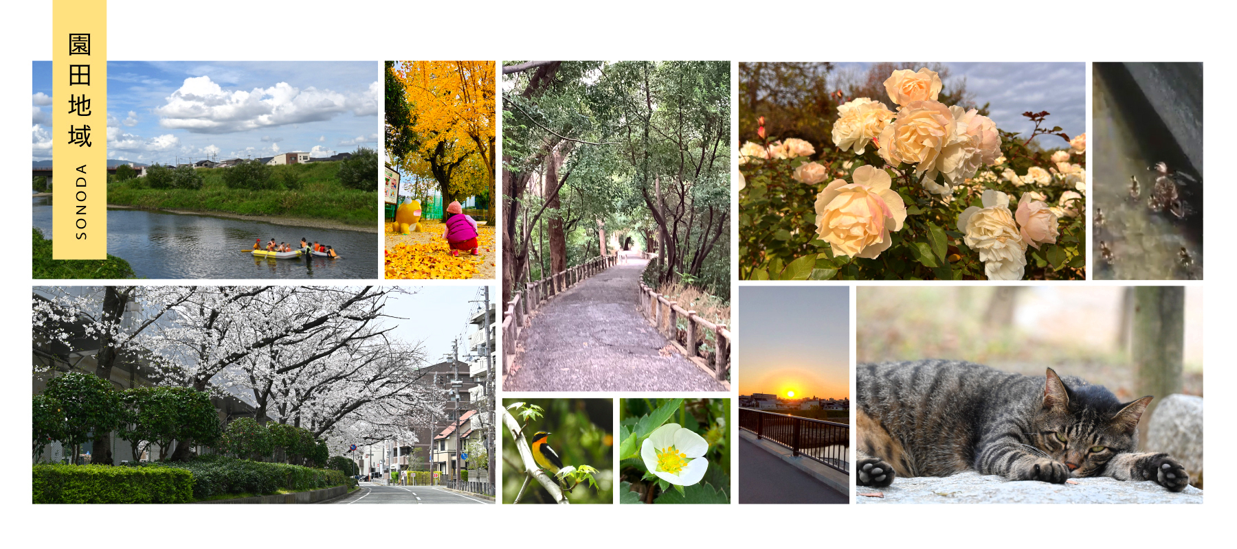園田地域