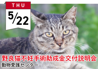 野良猫不妊手術助成金交付説明会　5月22日（木曜）