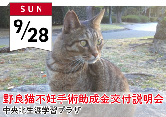 野良猫不妊手術助成金交付説明会　9月28日中央北生涯学習プラザ