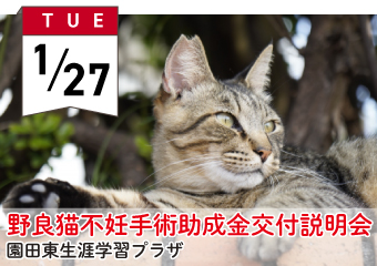 野良猫不妊手術助成金交付説明会1月27日　園田東生涯学習プラザ