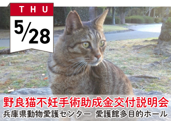 野良猫不妊手術助成金交付説明会5月28日　動物愛護センター