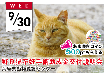 9月30日水曜日　野良猫不妊手術助成金交付説明会