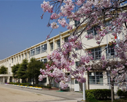 武庫中学校の写真