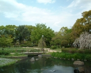 尾浜公園の写真