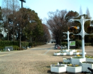 記念公園の写真