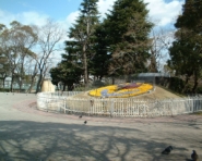 橘公園の写真