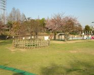 元浜緑地の写真