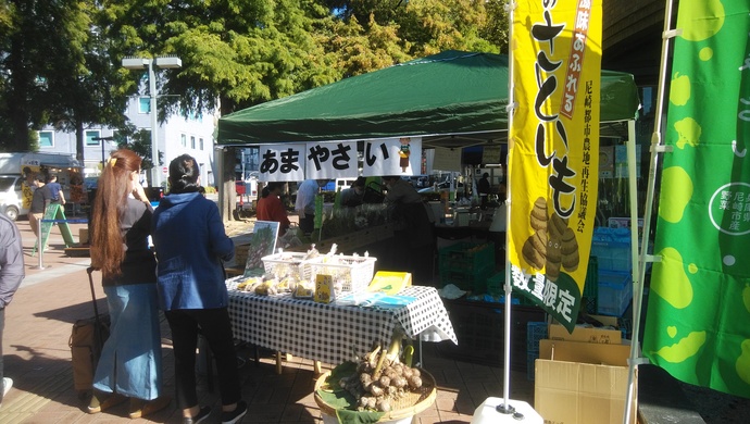 田能の里芋