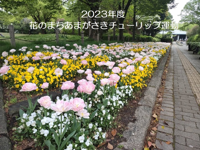 2023年度花のまちあまがさきチューリップ運動