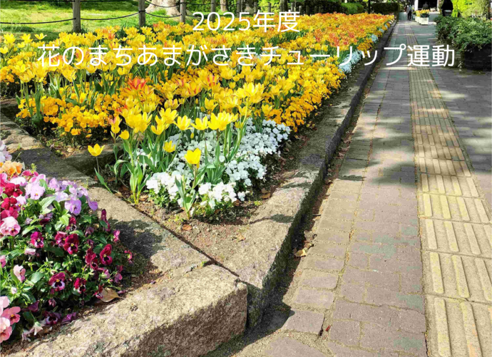 2025年度チューリップ運動