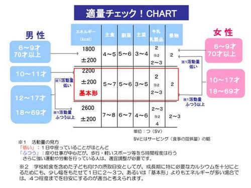 適量チェックチャート