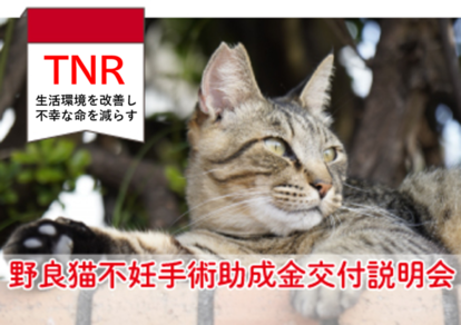 TNR