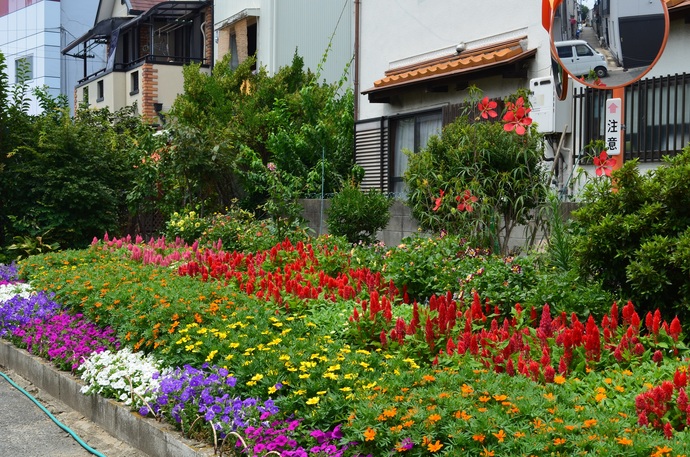 尼崎花のまち委員会の花壇