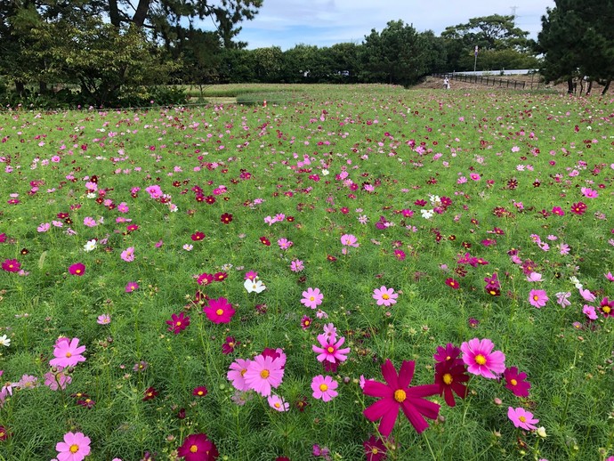 10月11日の様子