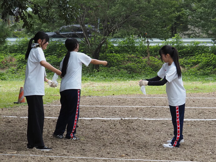 種まきをしている様子