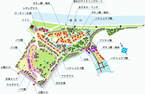 園内のお花のご案内