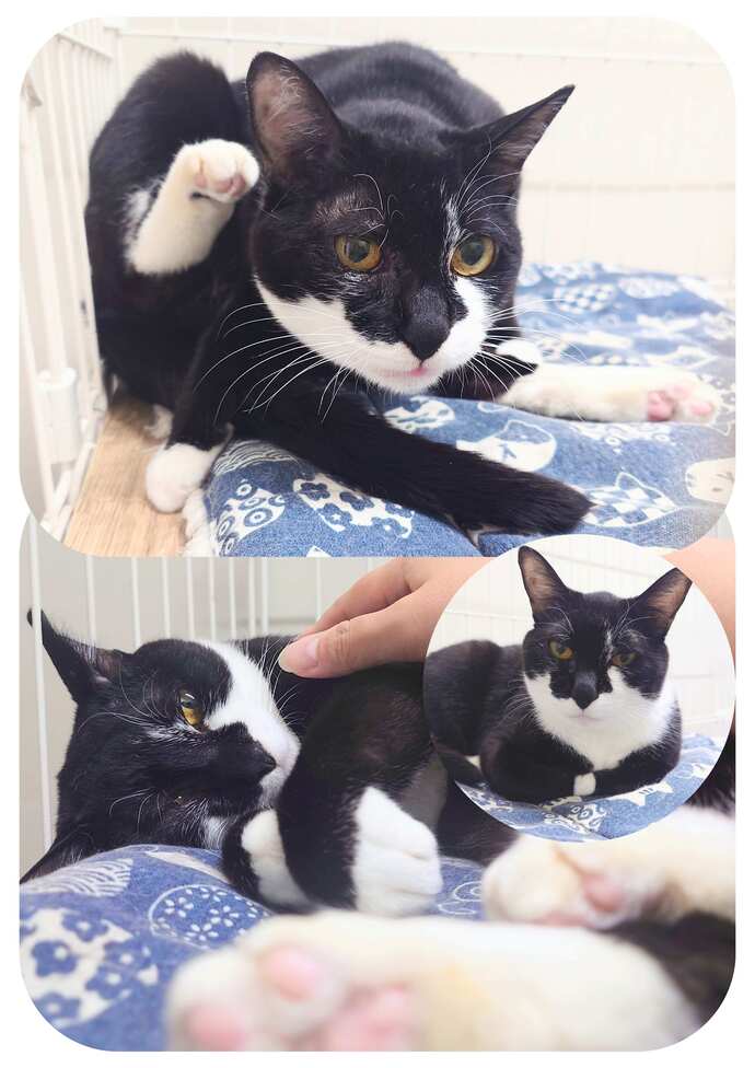 カヌレの写真