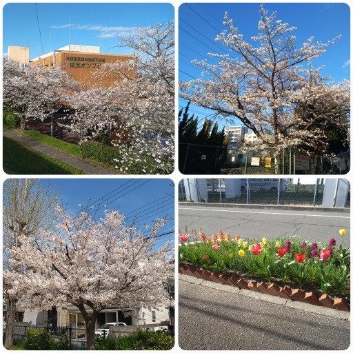 春の武庫地区