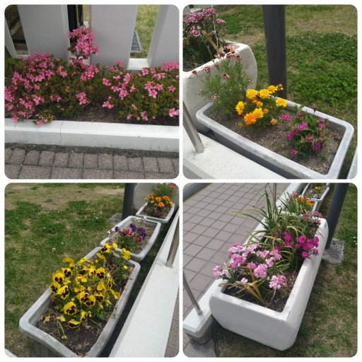 いつもありがとうございます