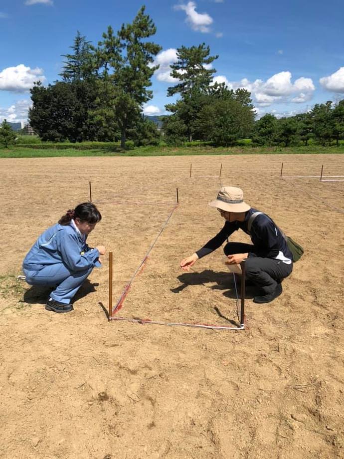 武庫川コスモス園の種まきの様子