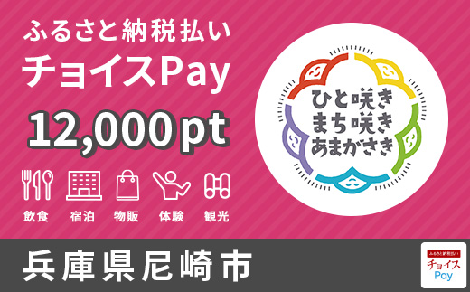 チョイスPay12000ポイント