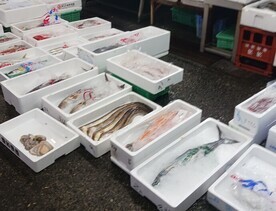 鮮魚店