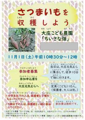 サツマイモ収穫のチラシ