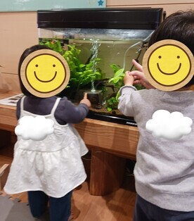 水槽を見つめるこども達