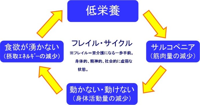 フレイルサイクルの図