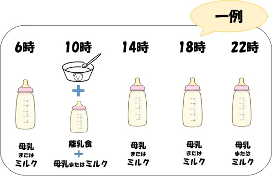 1回食の食事リズム