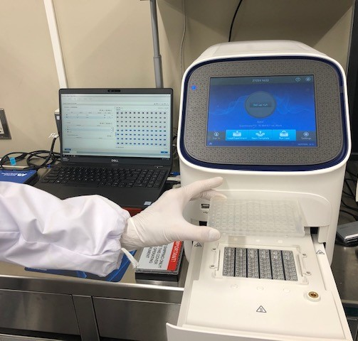 写真：リアルタイムPCR