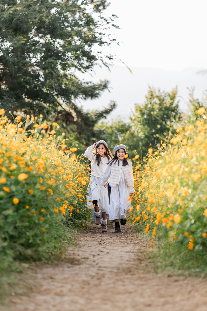 キバナコスモスの通路を2人の少女が駆け抜けている写真