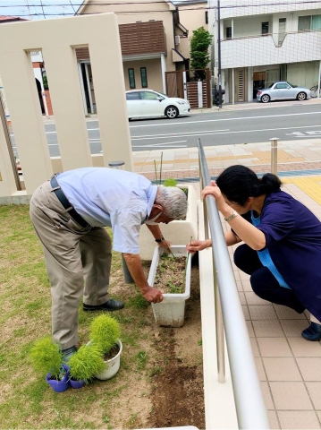 ホウキギを植えていただきました