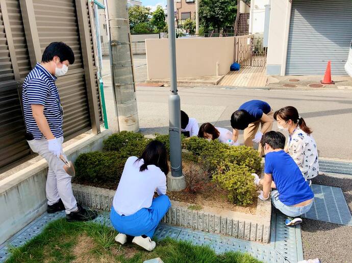 コスモスの種をまく様子