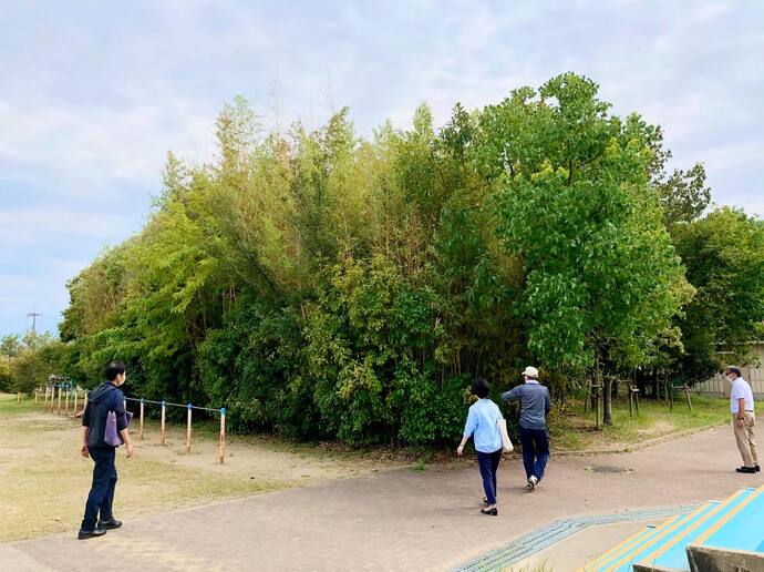 武庫北小学校の竹林