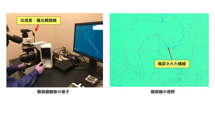 顕微鏡観察の様子