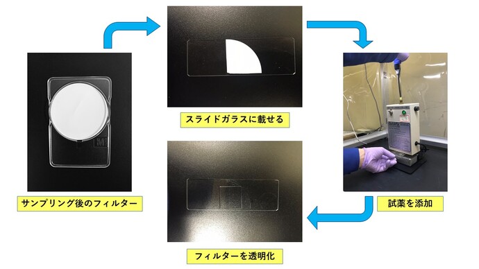 透明化の様子