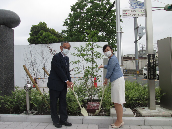 植樹のようす