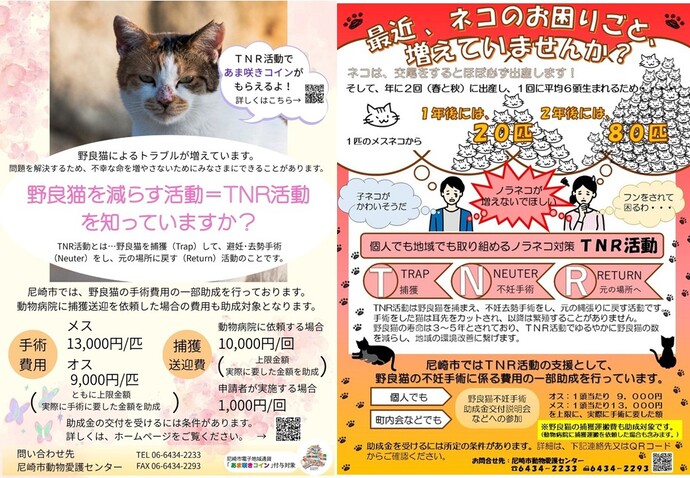 最近、ネコのお困りごと増えていませんか?