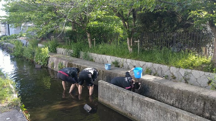 西武庫の水路