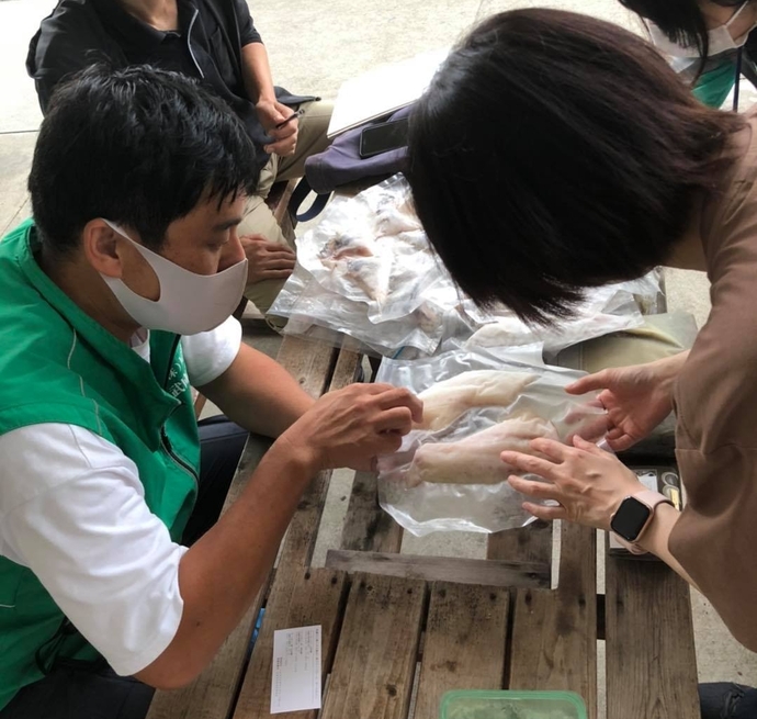 ホームにゃんこと武庫川渡船さん