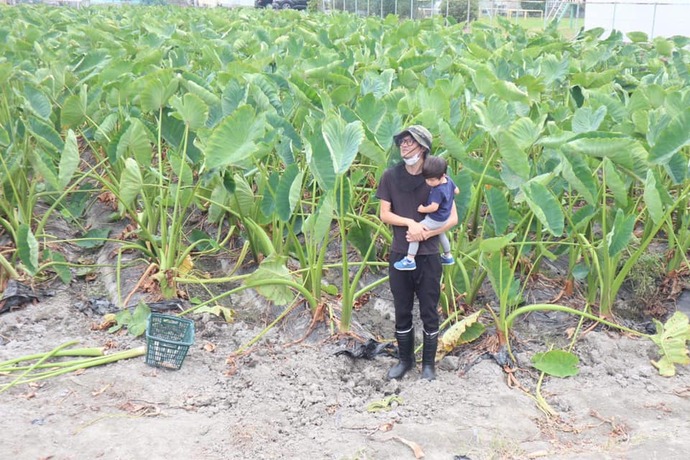 園田の里いも畑