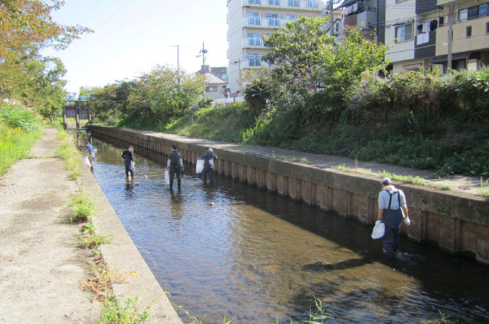 庄下川・昆陽川を愛する会