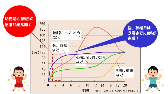 スキャモンの成長曲線