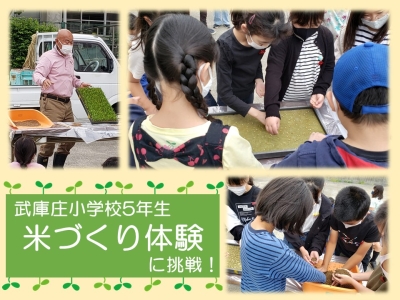 米作り体験をしました！